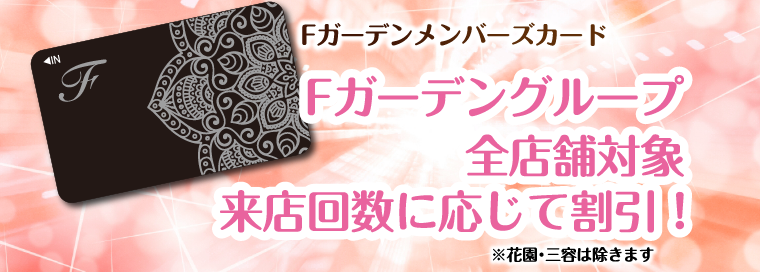 メンバーズカード – 【公式サイト】メッセ21 ｜ホテル/ラブホ